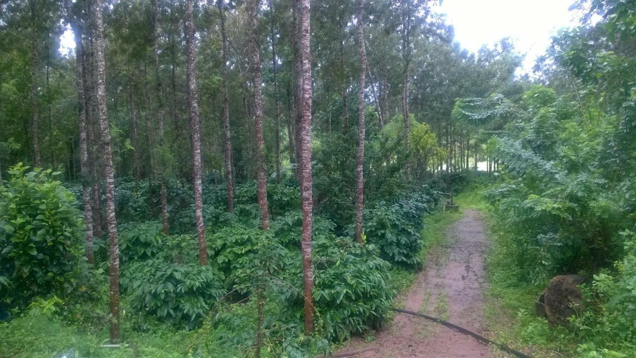 Rai Cottage @ Coorg ,Suntikoppa Extérieur photo