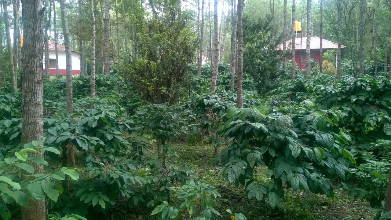 Rai Cottage @ Coorg ,Suntikoppa Extérieur photo