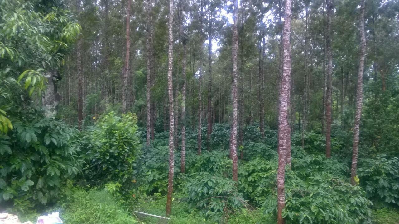 Rai Cottage @ Coorg ,Suntikoppa Extérieur photo
