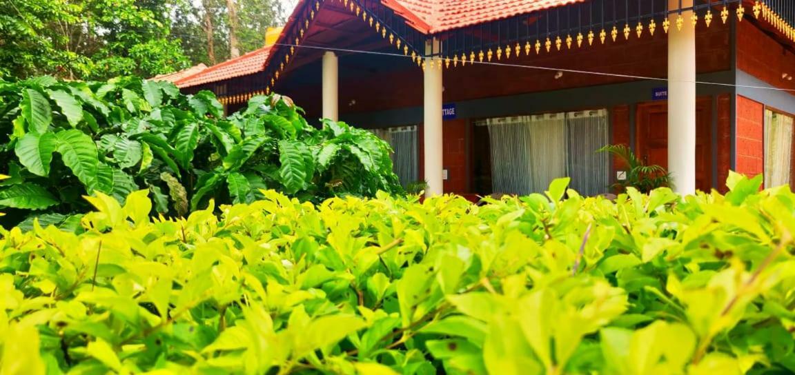 Rai Cottage @ Coorg ,Suntikoppa Extérieur photo
